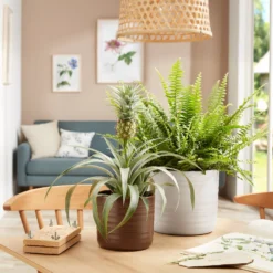 Garden Sales -Garden Sales 13953262 1834987119870516