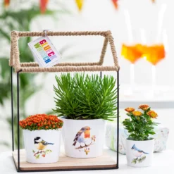 Garden Sales -Garden Sales 13953270 9924987119951243