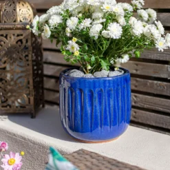 Garden Sales -Garden Sales 13973641 4605011238202084