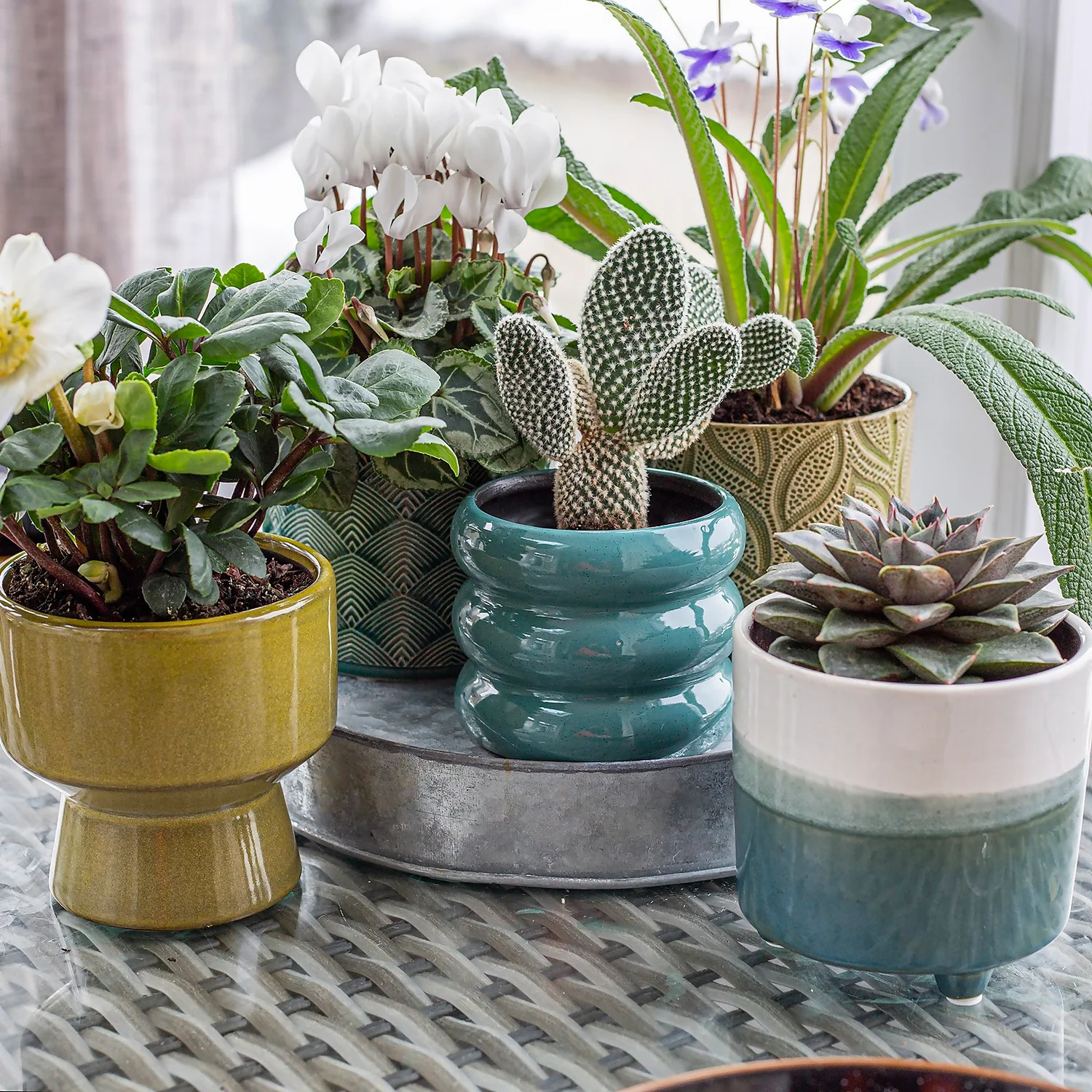 Garden Sales -Garden Sales 14197408 2085024191595313